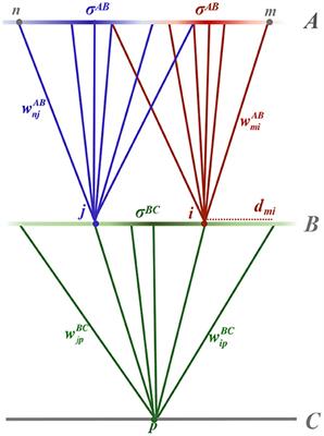 Emergence of radial orientation selectivity: Effect of cell density changes and eccentricity in a layered network